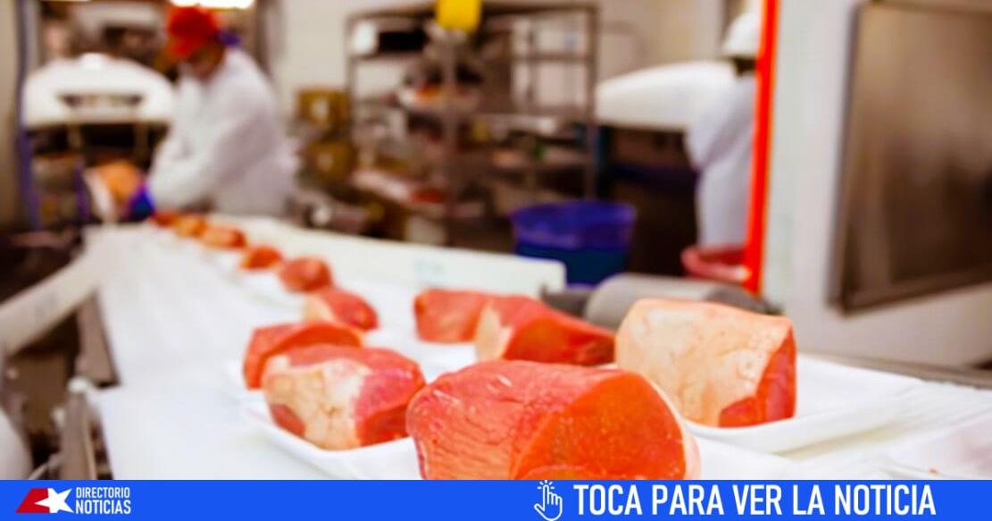 Costa Rica Exporta Primer Contenedor De Carne A Cuba