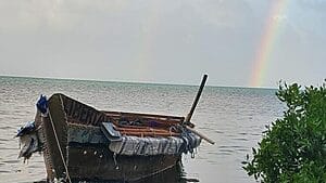 Imagen impactante: tocan tierra 14 balseros cubanos en Cayos de Florida