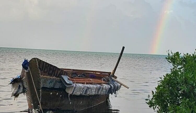 Imagen impactante: tocan tierra 14 balseros cubanos en Cayos de Florida