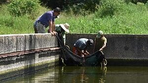 Crean estanques en fábrica de Las Tunas para reproducir tilapias y "engordar pescado"