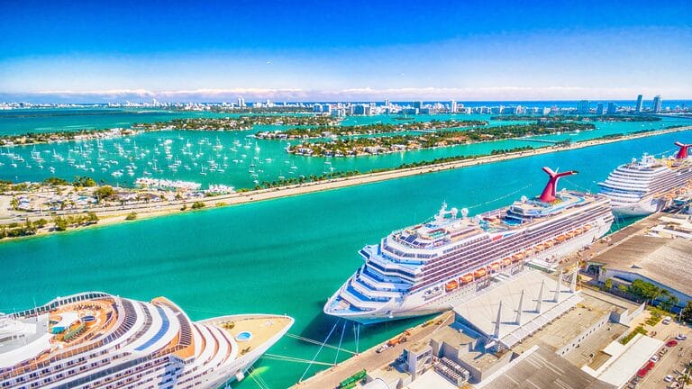 cruceros miami noviembre 2023