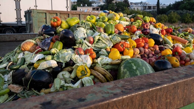 habana alimentos vencidos bulo