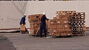 El Ministerio del Comercio Interior de Cuba (MINCIN) informó que desde ayer comenzaron las operaciones de descarga de un buque con pollo para la distribución de la canasta familiar normada.