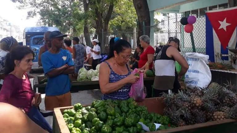 ferias agropecuarias habana precios