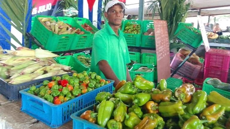 nuevos horarios mercados estatales