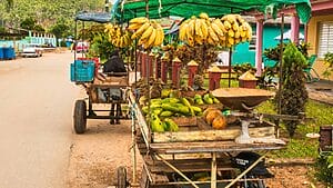 precios alimentos cuba julio