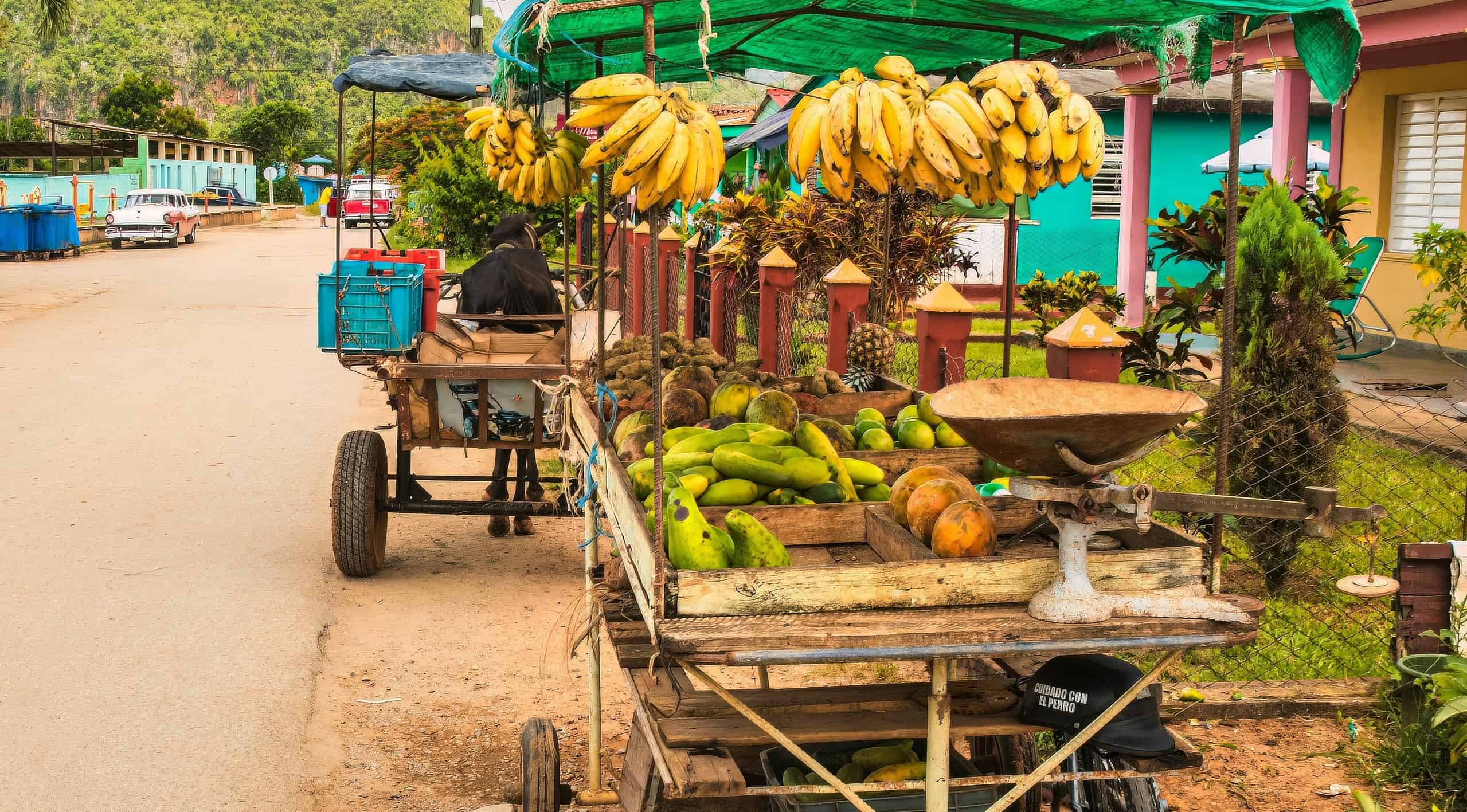 precios alimentos cuba julio