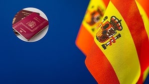 ley nietos españa