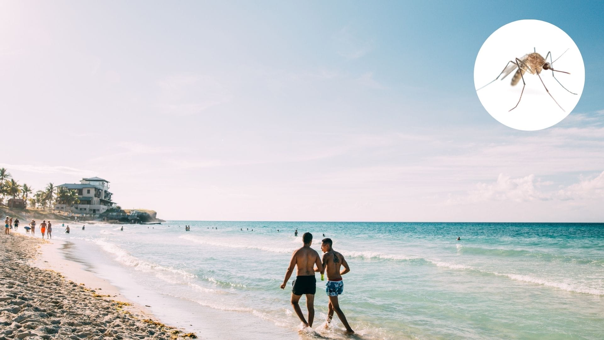 jejenes turista rusa cuba