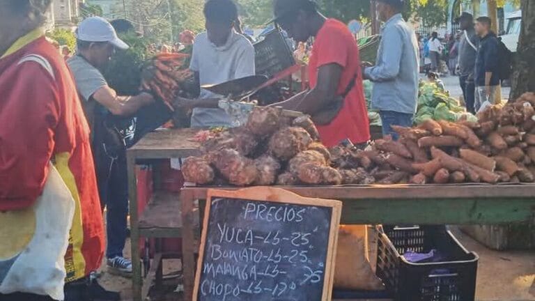 precios alimentos mercados cubanos