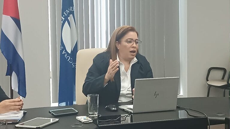 presidenta etecsa