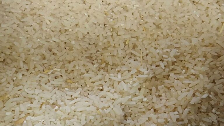 sube precio arroz cuba