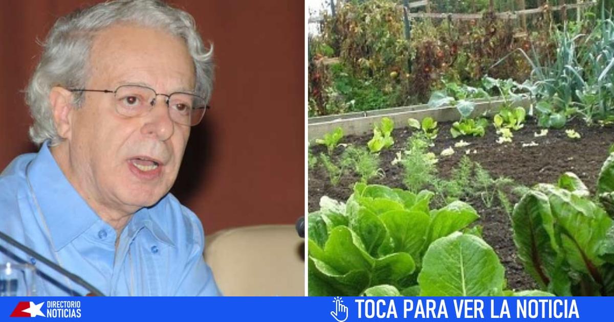 Cuban meals advisor proposes planting meals in home windows and “empty swimming swimming pools”
 2024-06-26 22:30:26