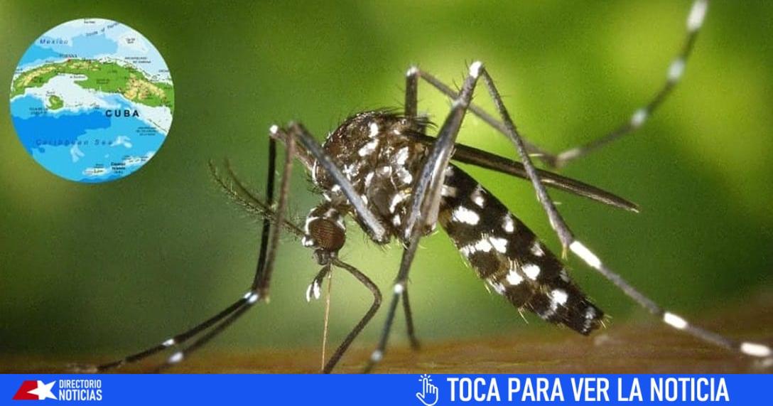 This is the situation with dengue and Oropouche in Cuba: official part