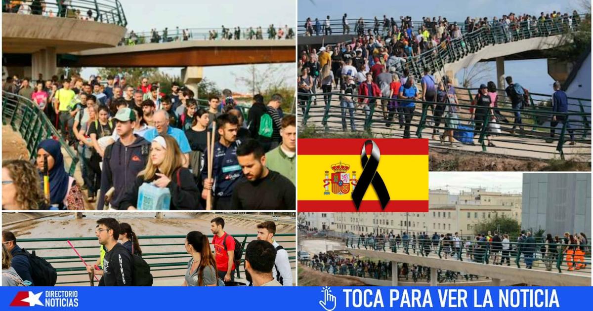 Long marches of Spanish volunteers with brooms and supplies to help their loved ones