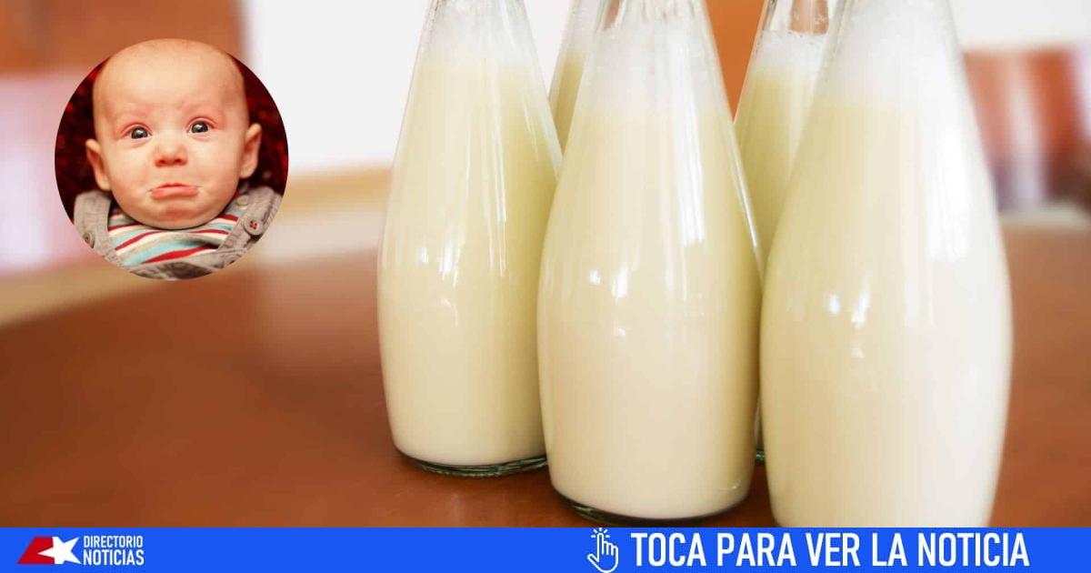 Without milk in Cuba for children from 2 to 6 years old. “It’s not enough for everyone,” says Lácteos